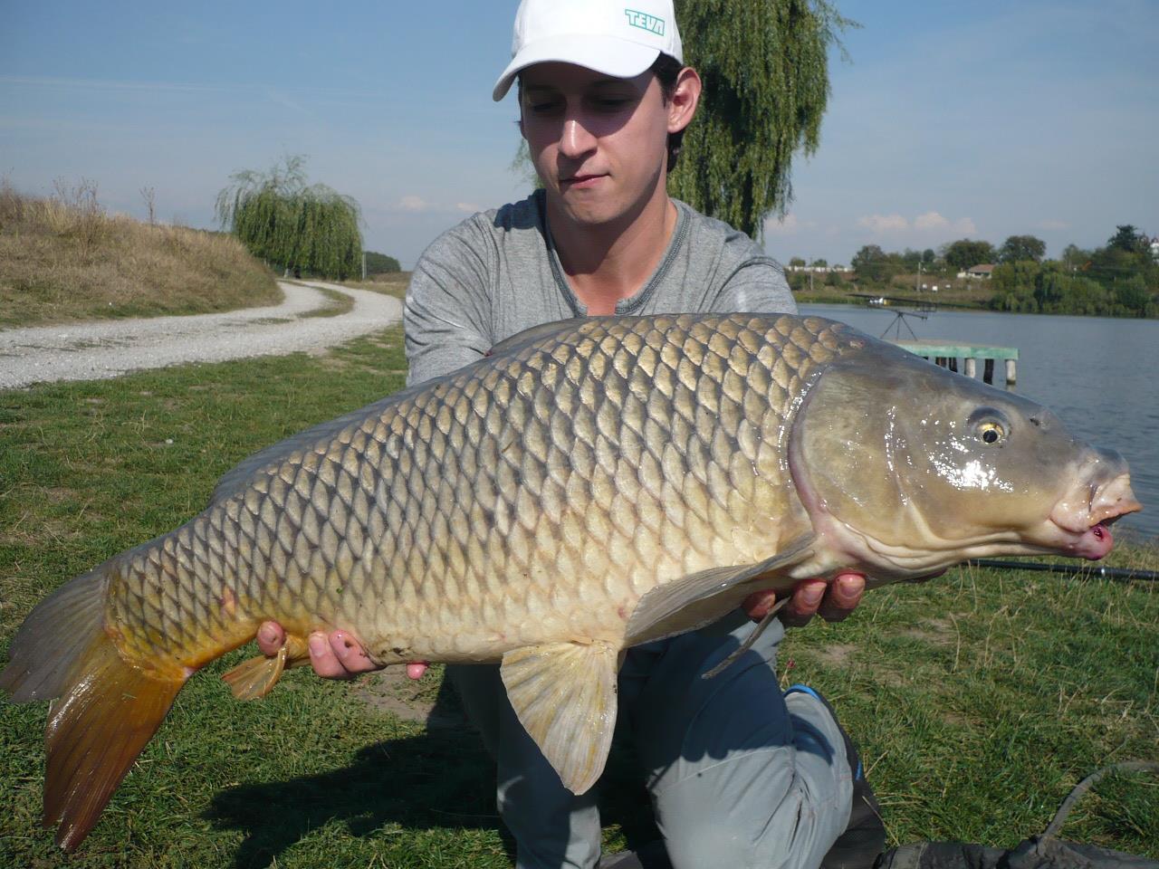 MV 2 - 1.OCT.2014 - p1020873.JPG